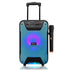 8 Inch 8W Portable Trolley Bluetooth Speaker Sound System Karaoke Machine Party with Remote and Microphone