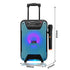 8 Inch 8W Portable Trolley Bluetooth Speaker Sound System Karaoke Machine Party with Remote and Microphone